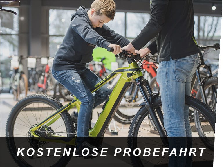 Probe